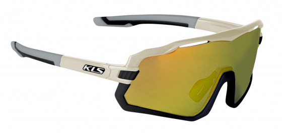 cyclone_full _frame_sandstorm_grey